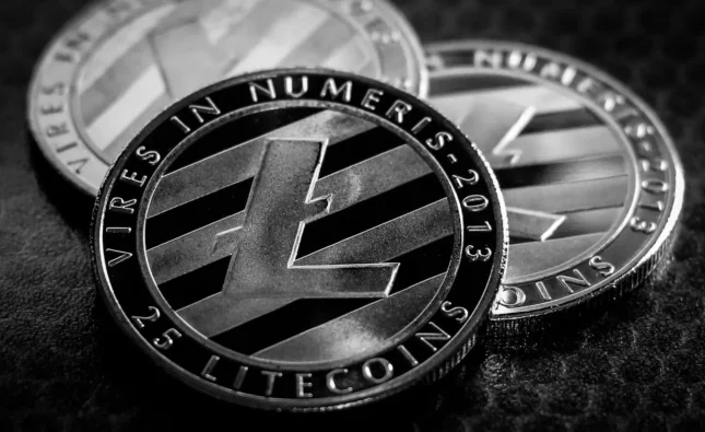 A Comprehensive Overview of Litecoin and Its Position in the Cryptocurrency Market